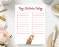 Tiny Victories Notepad